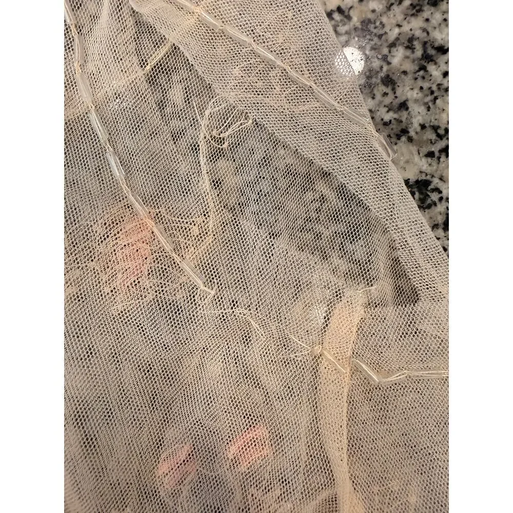 Free People description brand
